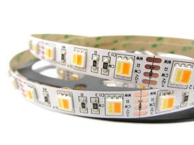 Bobina Striscia Strip Led CCT 300 SMD 5050 WWR 12V Bianco Caldo Neutro Freddo Tutto In Uno Da 2700K A 10000K 5 Metri IP20