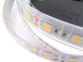 Striscia Strip Bobina Led Impermeabile IP68 Bianco Freddo Con 300 Smd 5050 5 Metri
