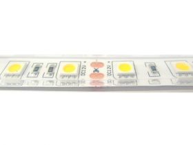 Striscia Strip Bobina Led Impermeabile IP68 Bianco Freddo Con 300 Smd 5050 5 Metri